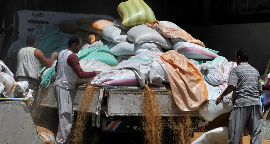 Egypt receives 3.55M tons of wheat from farmers this season