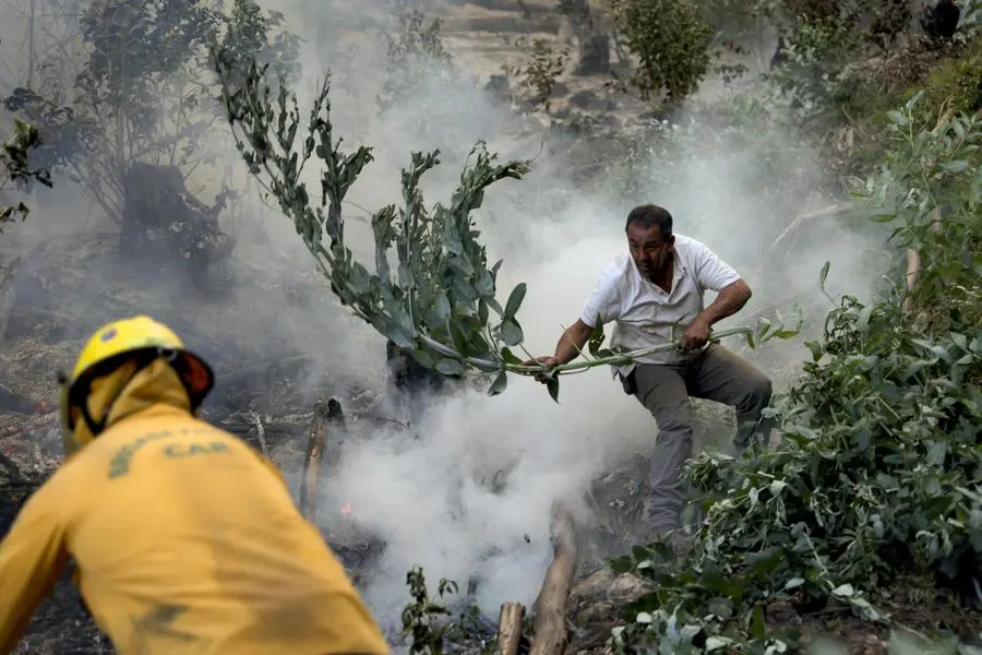 Colombia Declares Natural Disaster Over Wildfires