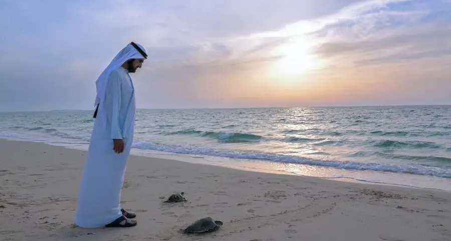 Dubai set to expand its public beaches by 400%