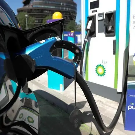 Egypt seeks global automakers to localise electric vehicle production