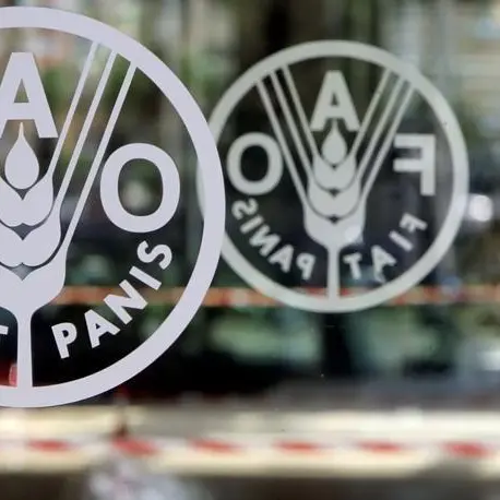 World food prices increase in April, UN's FAO says
