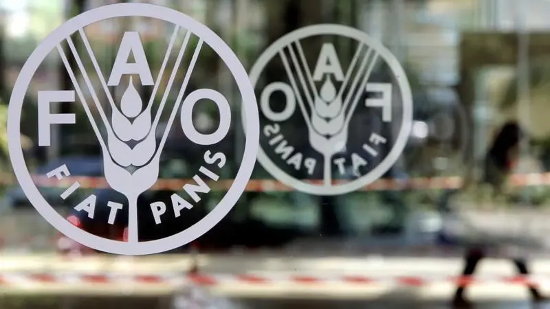 World food prices fall for second consecutive month in October, UN's FAO says