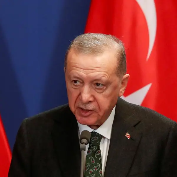 Turkey's Erdogan to attend Italy G7 summit, perhaps also bin Salman