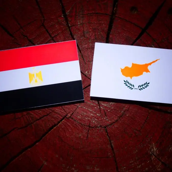 Egypt, Cyprus probe bolstering cooperation in natural gas field