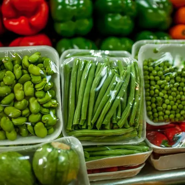 Agreements signed to establish 4 food factories in Jordan\n