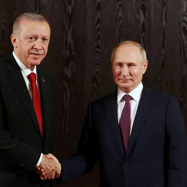 Erdogan, Putin to discuss Ukraine and grain deal during Turkey visit -minister