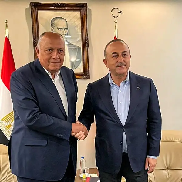 وزير الخارجية المصري في تركيا يوم الخميس