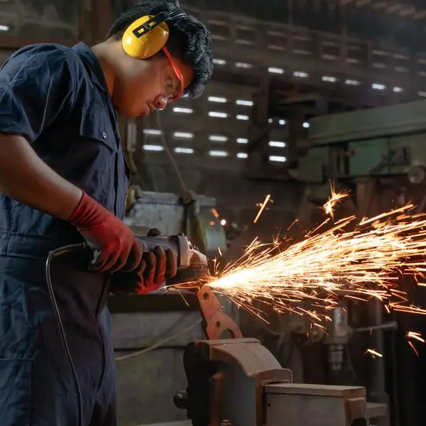 Egypt’s manufacturing, extractive industries index inches down 0.01% MoM in August