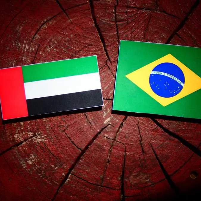 UAE foreign minister, Brazilian counterpart explore strategic cooperation