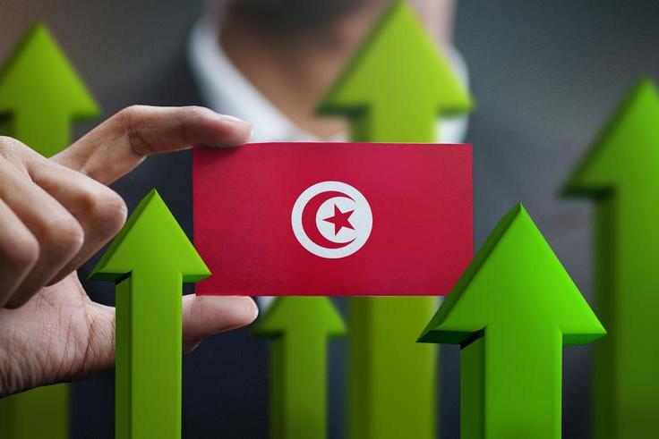 Tunisia Signs Six MoUs for Green Hydrogen Production in Tunis