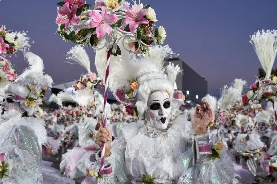 30,370 Brazil Carnival Parade Stock Photos, High-Res Pictures, and Images -  Getty Images