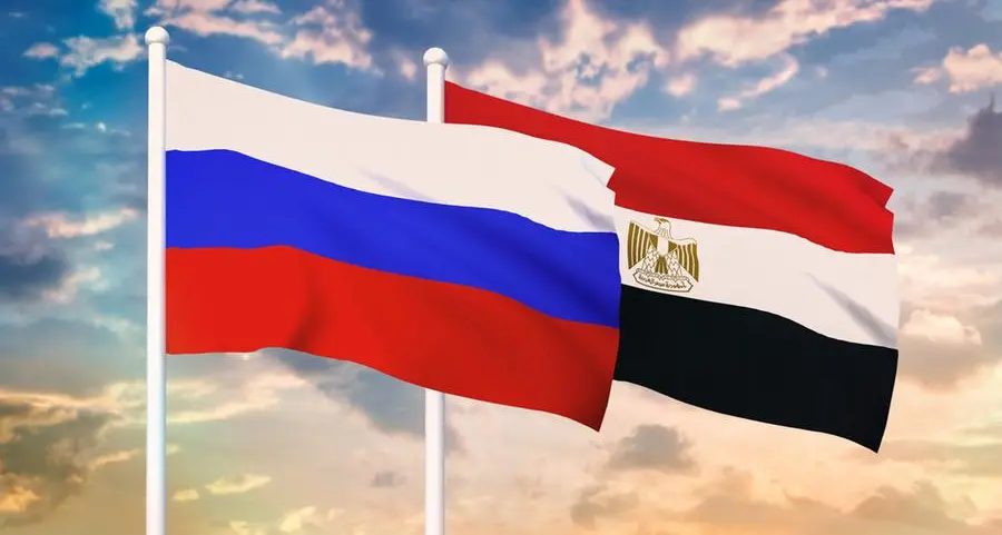 Egyptian, Russian FM discuss Gaza crisis, bilateral ties at BRICS Ministerial Meeting