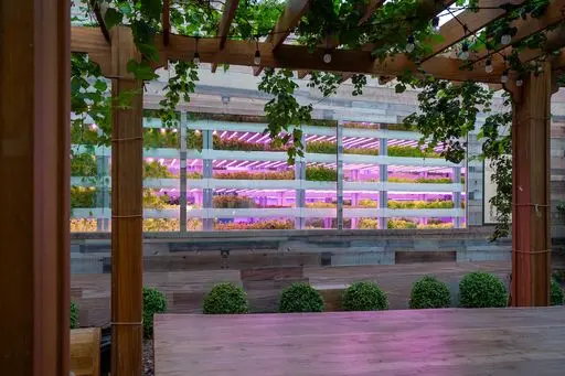 Crysp Farms, the GCC’s leading innovator and operator of decentralized vertical farms has secured a $2.25 million ‘Pre-Series A’ round structured and led by Gate Capital with participation from regional investors including from the UAE and Saudi Arabia. Image courtesy: Gate Capital