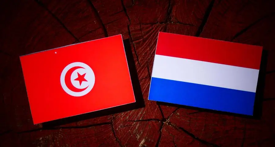 Tunisia, Netherlands discuss cooperation in employment and vocational training fields