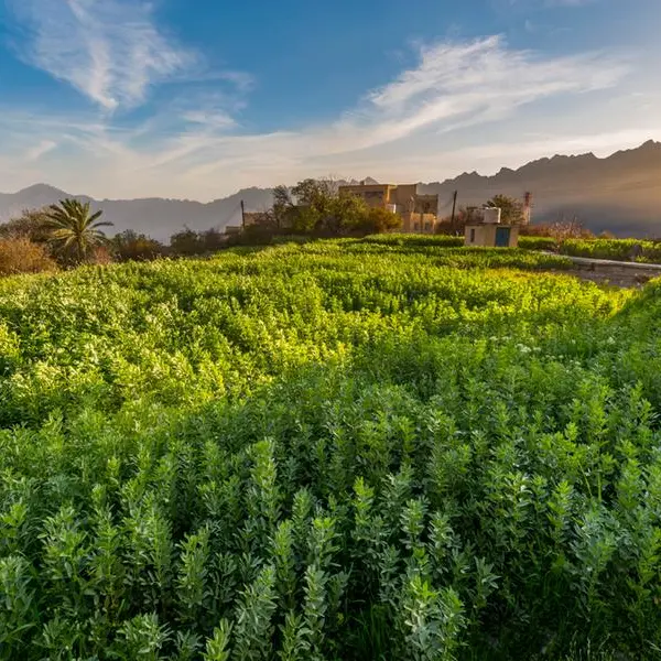 Oman boosts food security and sustainable farming initiatives