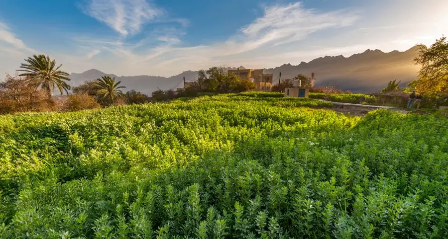 18 agricultural usufruct contracts signed to enhance food security in Oman