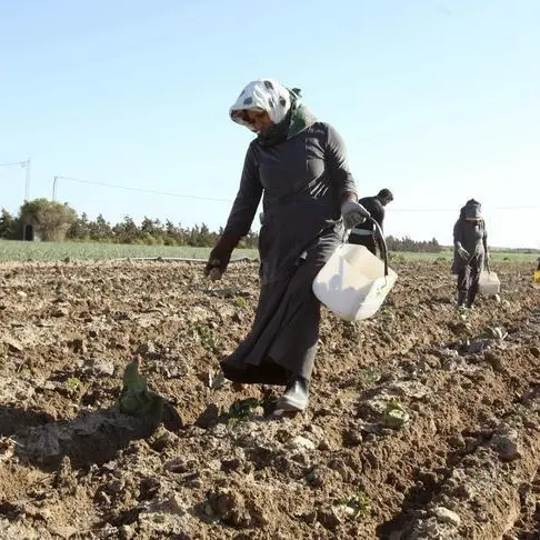 Tunisia works to support some agricultural sectors which generate foreign currency