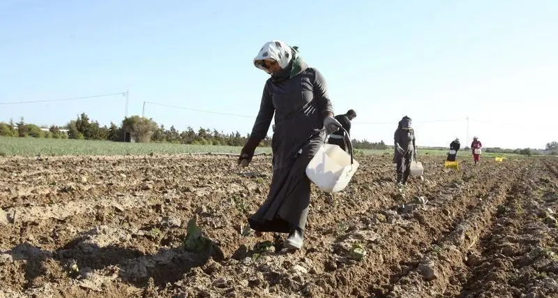 Tunisia extends drinking water quota system, ban on agriculture use