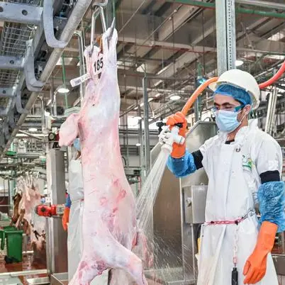 Abu Dhabi City Municipality boosts slaughterhouse preparedness
