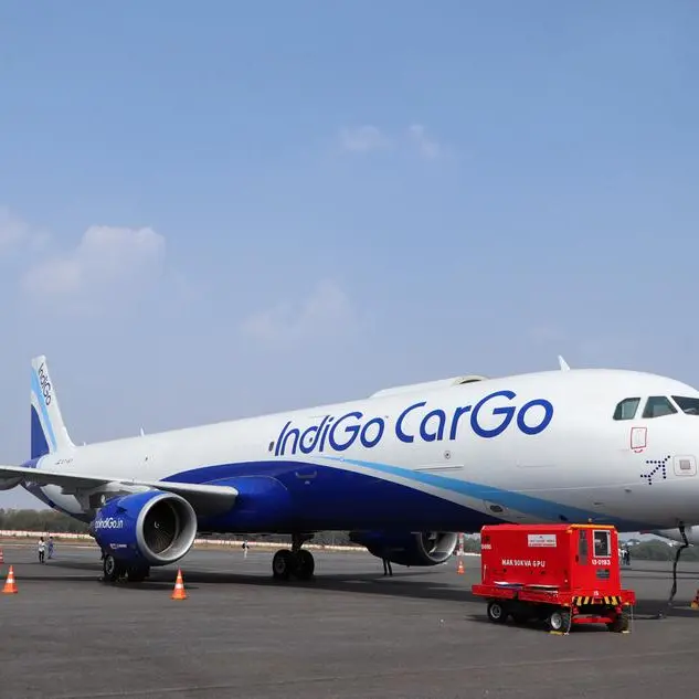 India aviation watchdog finds 263 lapses at Indian airlines in annual audit