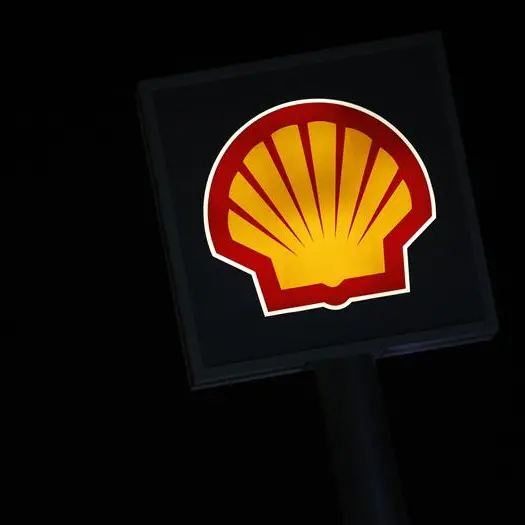 Hormuz disruption to stall 2026 LNG trade, demand to rise by 2050, says Shell