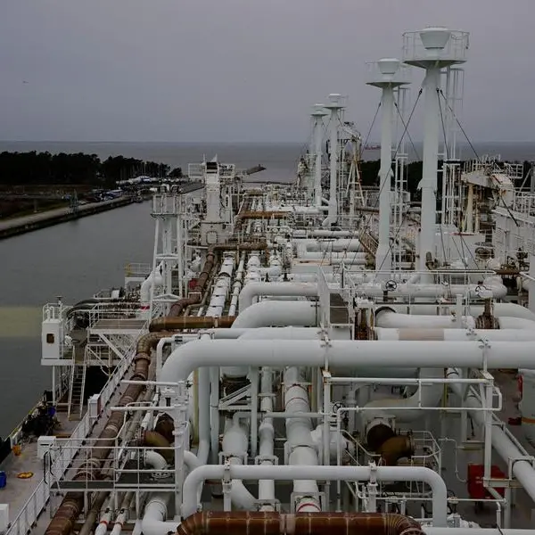 Egypt shipped 80% of last year's LNG exports to Europe, says minister