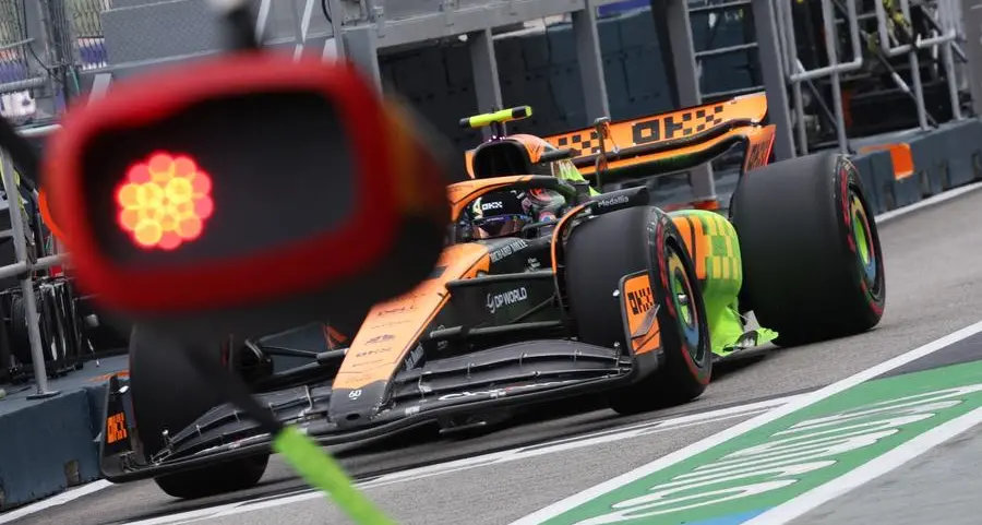 Drivers slowed by rogue reptiles in Singapore F1 practice