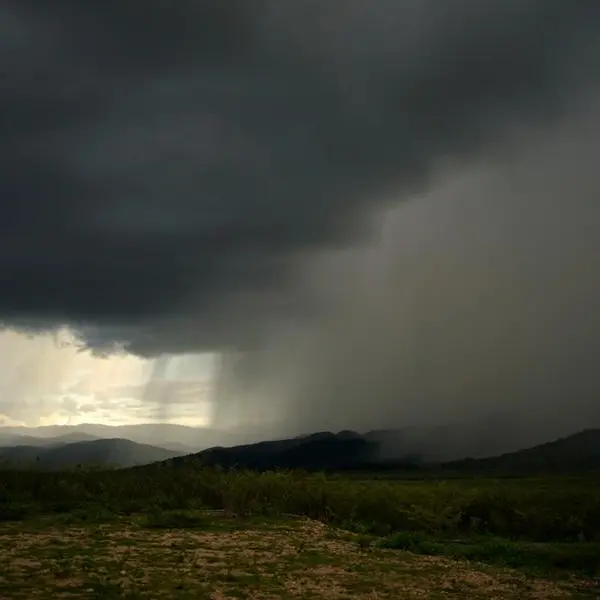 Flood protection systems capture 2mln cubic metres of rainwater in Sinai: ministry