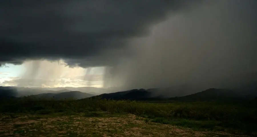 Flood protection systems capture 2mln cubic metres of rainwater in Sinai: ministry