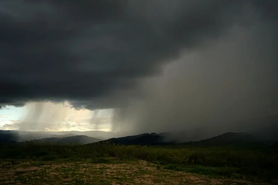 Getty Images/Moment RF