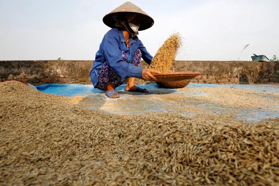 High pasta prices set to boil over as Canada's wheat withers