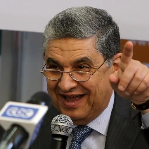 Egypt's minister, Elsewedy Electric discuss collaboration on distribution, grid efficiency, and loss reduction