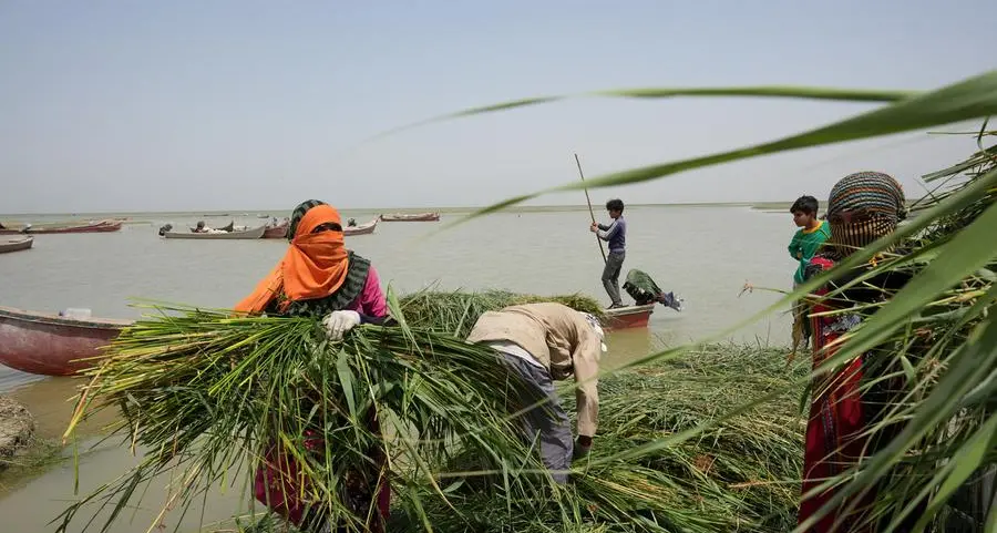 Drought drives economic exodus from Iraq's rivers and marshlands