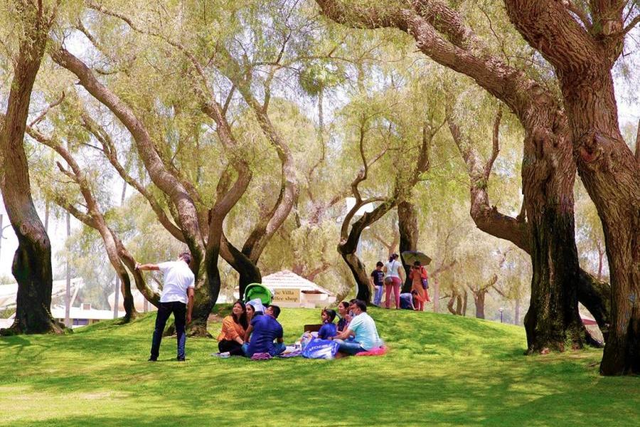 Saudi Arabia launches PPP tender for rehabilitation of 50 public parks