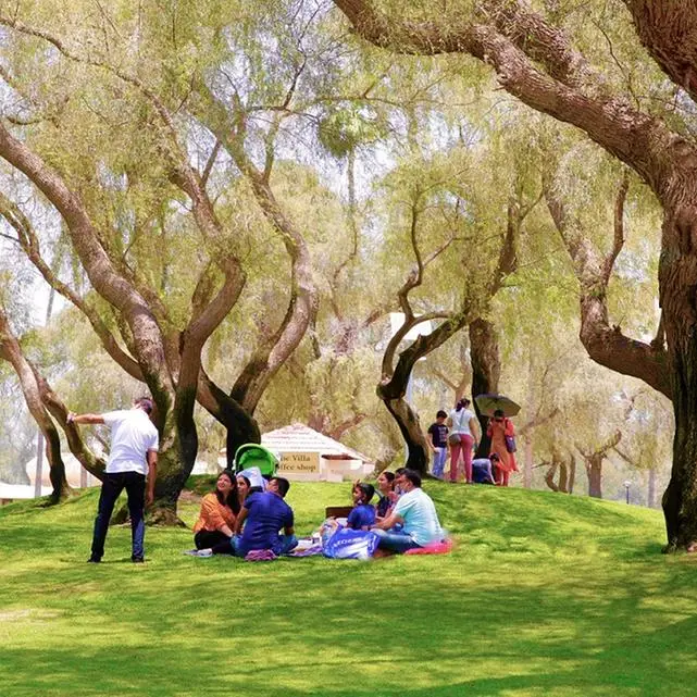 Saudi Arabia launches PPP tender for rehabilitation of 50 public parks