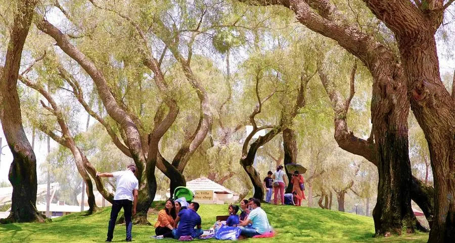 Saudi Arabia launches PPP tender for rehabilitation of 50 public parks