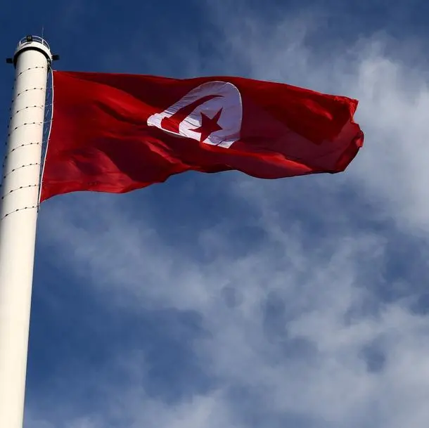 Tunisia replaces interior, social affairs ministers in reshuffle