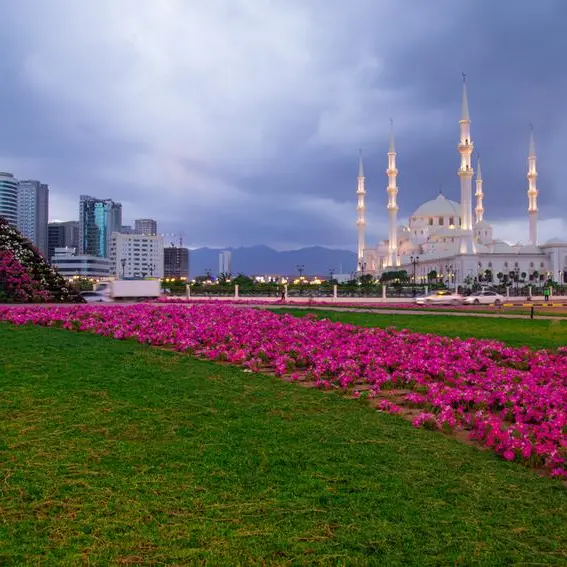 Holcim, 44.01 launch carbon capture, mineralisation pilot project in Fujairah