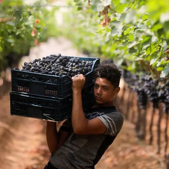 Agriculture Minister urges Philippines to open markets to key Egyptian exports