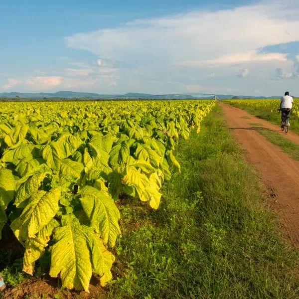 Japan supports climate resilience and sustainable agriculture in Zimbabwe