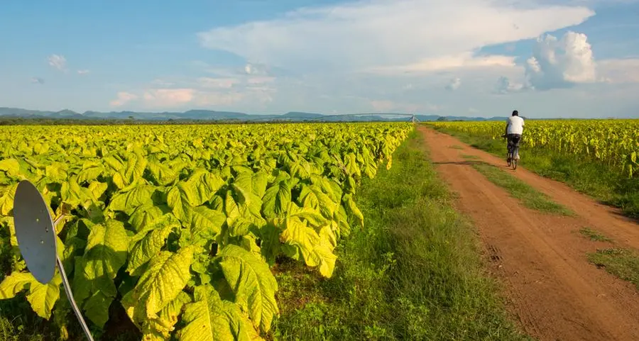 Japan supports climate resilience and sustainable agriculture in Zimbabwe