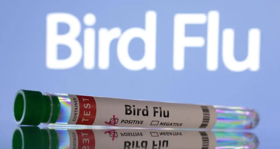 Gabon detects first case of bird flu since 2022