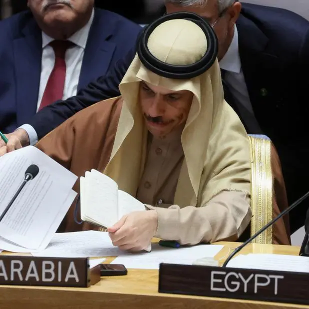 Saudi FM calls for international recognition of Palestine at Security Council session