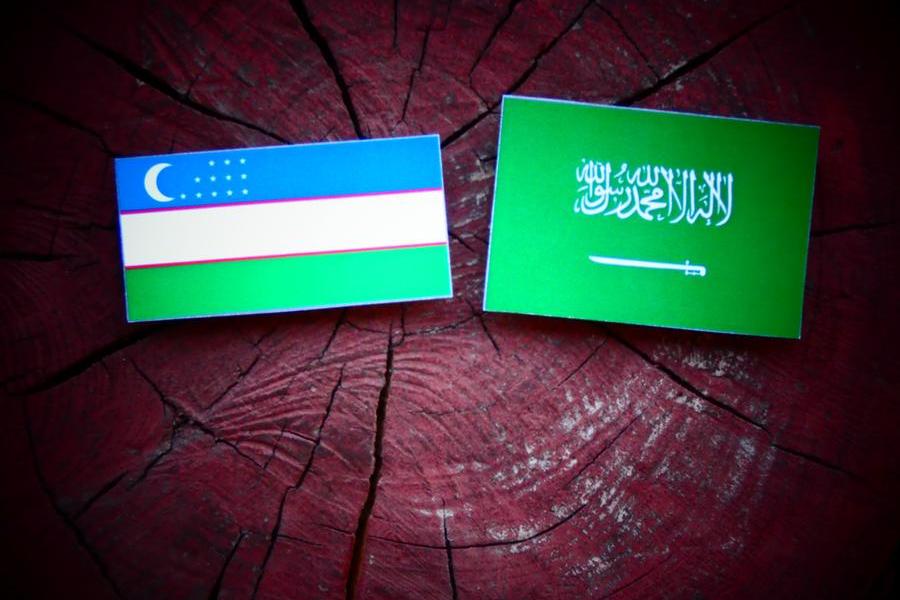 Saudi’s Miahona to develop water treatment PPP project in Uzbekistan