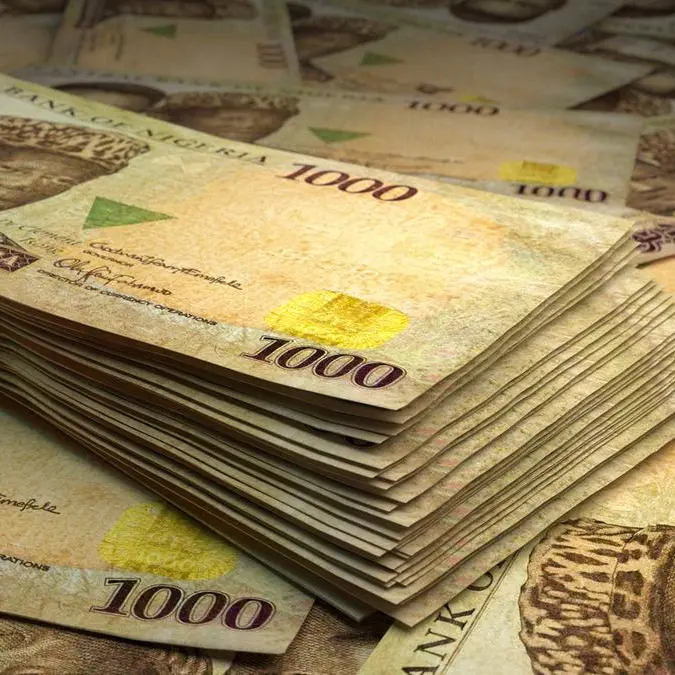 Nigeria: Naira depreciates in parallel market