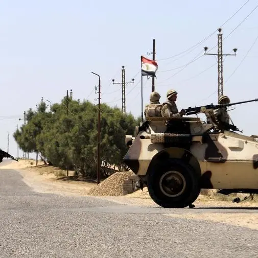 Egypt, Armenia explore cooperation in military, civilian manufacturing