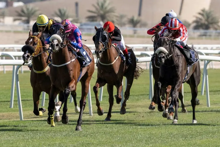 <p>Stc Bahrain announces 10th year partnership with Rashid Equestrian and Horseracing Club</p>\\n