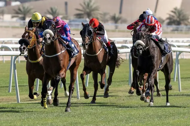 <p>Stc Bahrain announces 10th year partnership with Rashid Equestrian and Horseracing Club</p>\\n