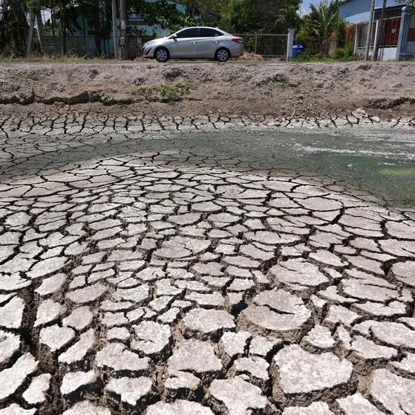 Vietnam farmers struggle for fresh water as drought brings salinisation