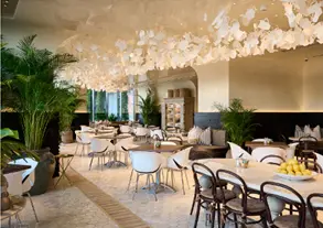 Café Dior  Restaurants in Design District, Miami